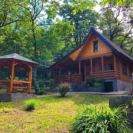 Brvnara Vrsac Villa Luaran gambar