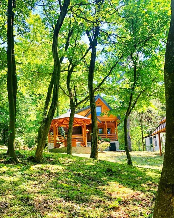 Brvnara Vrsac Villa Luaran gambar