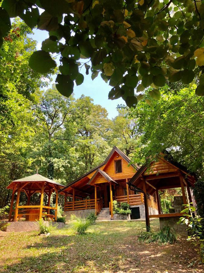 Brvnara Vrsac Villa Luaran gambar