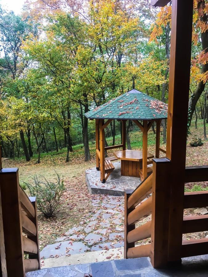 Brvnara Vrsac Villa Luaran gambar
