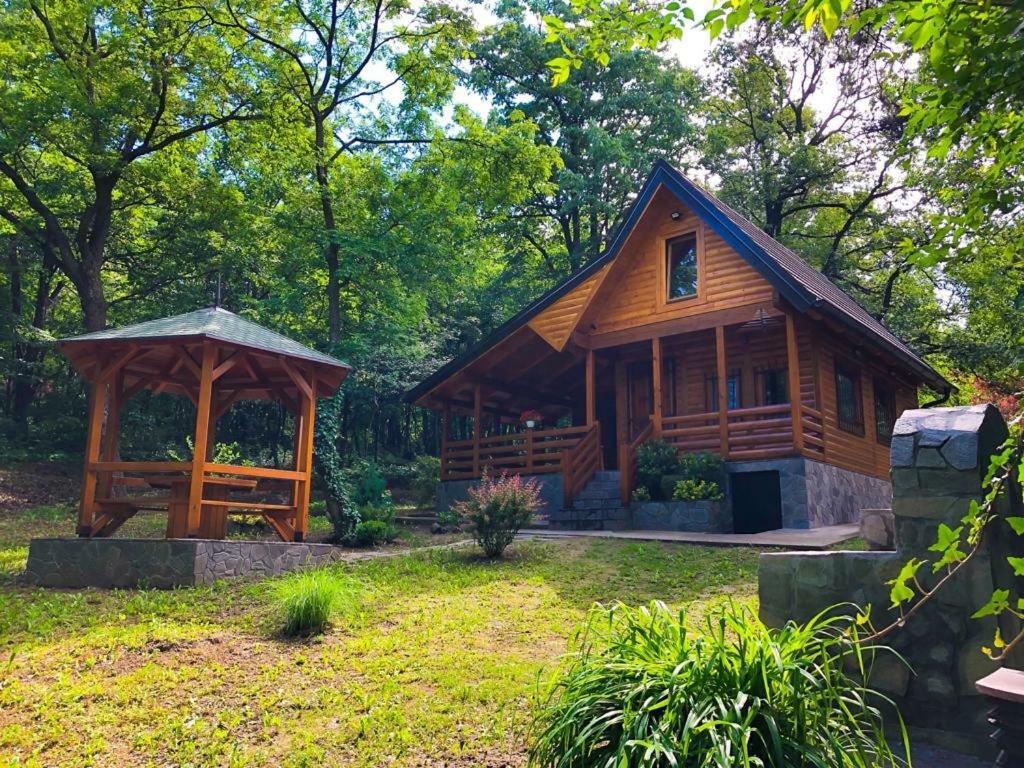 Brvnara Vrsac Villa Luaran gambar