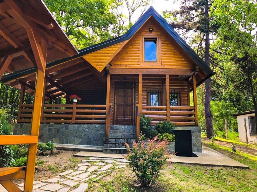 Brvnara Vrsac Villa Luaran gambar