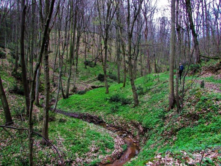 Brvnara Vrsac Villa Luaran gambar